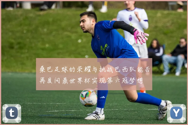 桑巴足球的荣耀与挑战巴西队能否再度问鼎世界杯实现第六冠梦想